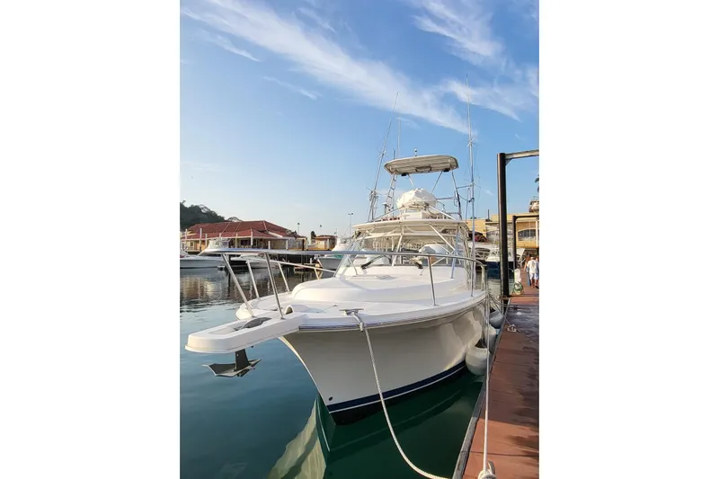  Yacht Photos Pics 2008 Luhrs 31 Hard Top IPS boat docked at marina under clear blue sky.