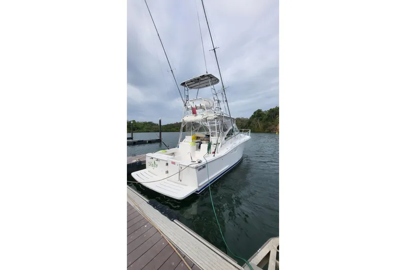  Yacht Photos Pics 2008 Luhrs 31 Hard Top IPS boat docked at marina, rear view.