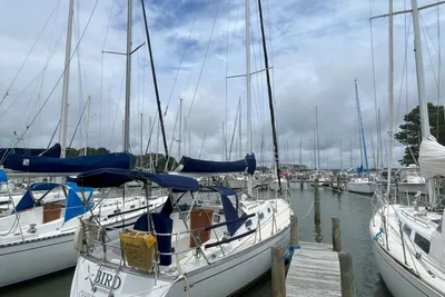 Tartan 31
