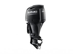 2022 Suzuki DF250APXX V6