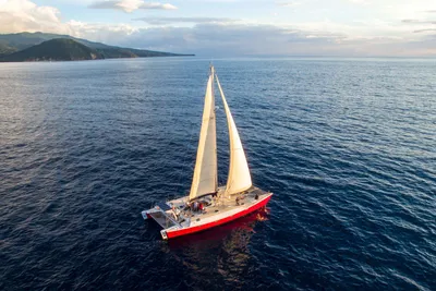 1995 Catamaran Day Charter Open Bridge Deck