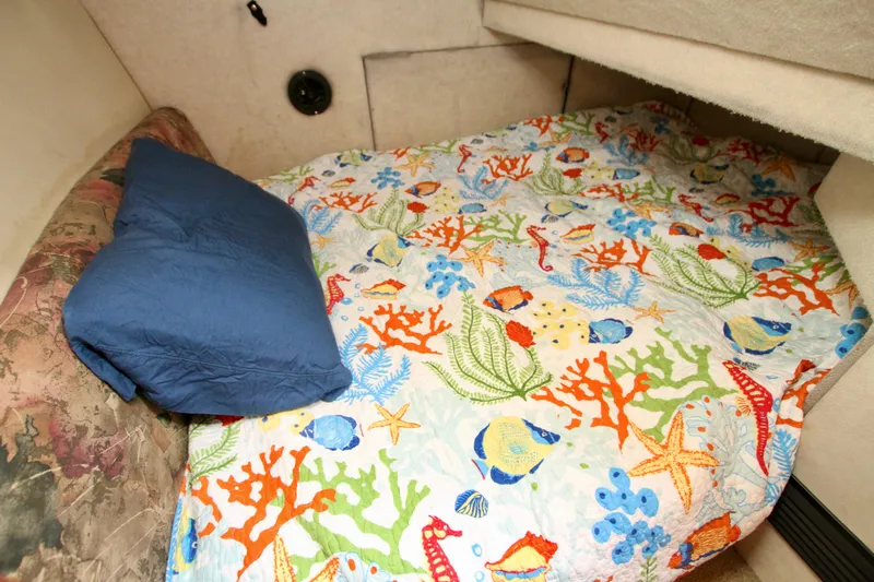 Neptune Yacht Photos Pics 