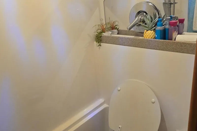  Yacht Photos Pics Bathroom interior of 2003 Regal Commodore 4260 yacht with plants and toiletries.