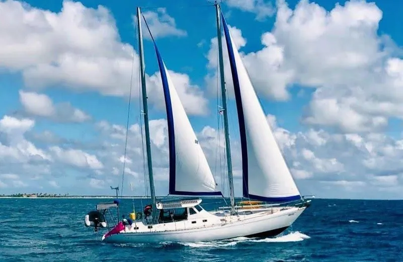 Luna Yacht Photos Pics 