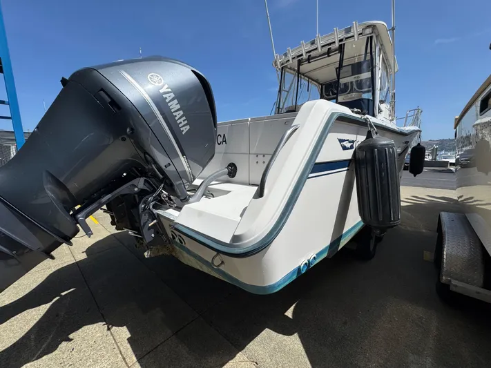 My Reel Office Yacht Photos Pics 