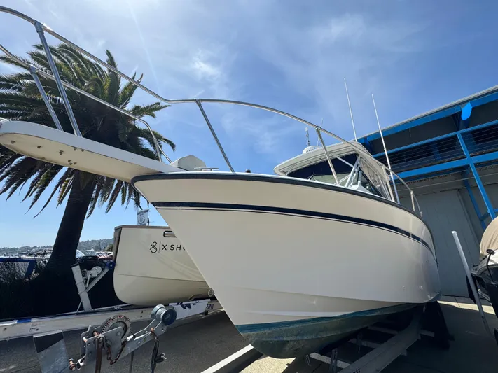 My Reel Office Yacht Photos Pics 