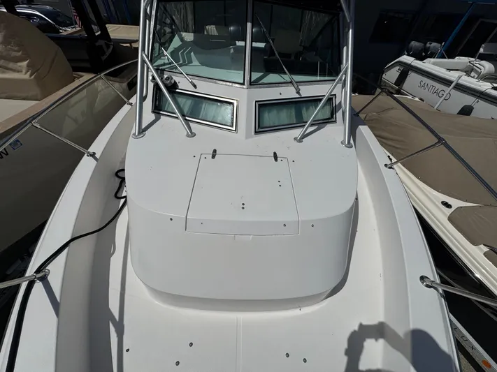 My Reel Office Yacht Photos Pics 