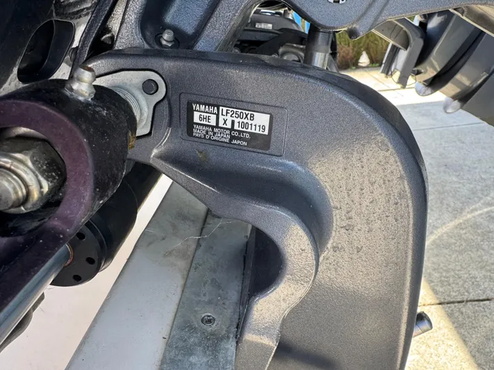 My Reel Office Yacht Photos Pics 