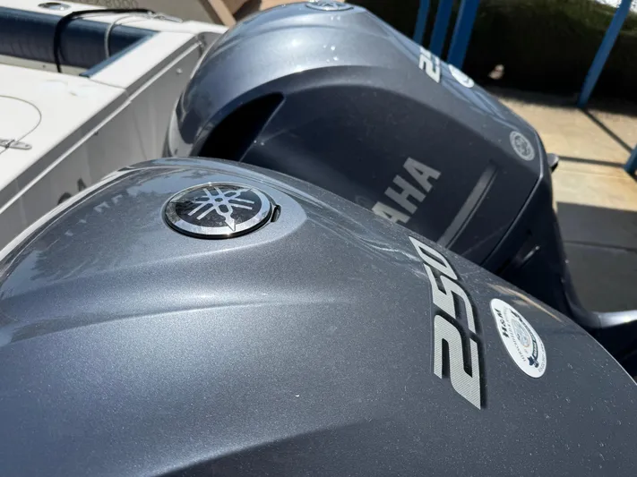 My Reel Office Yacht Photos Pics 