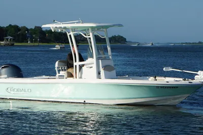 Robalo 226 Cayman