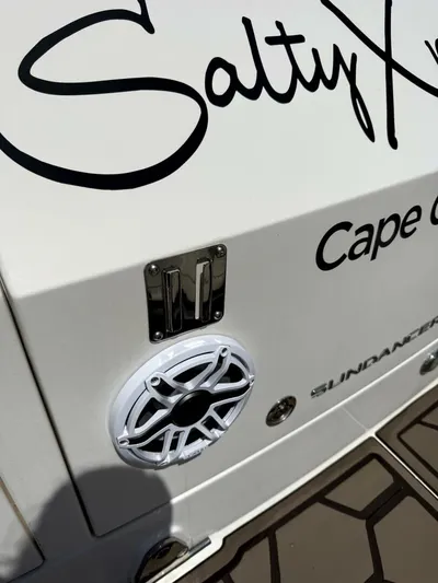 Salty Xperience Yacht Photos Pics 2020 Sea Ray 320 Sundancer OB Coupe boat with speaker and custom lettering.