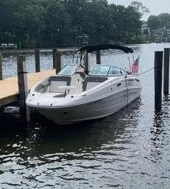 Sea Ray 260 Sundeck