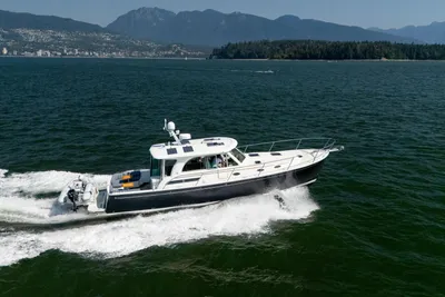 Back Cove 41