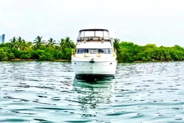 Bella Vita Yacht Photos Pics 2007 Meridian 459 Motoryacht on calm water with lush green background.