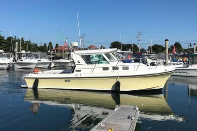 Albin 28 Tournament Express