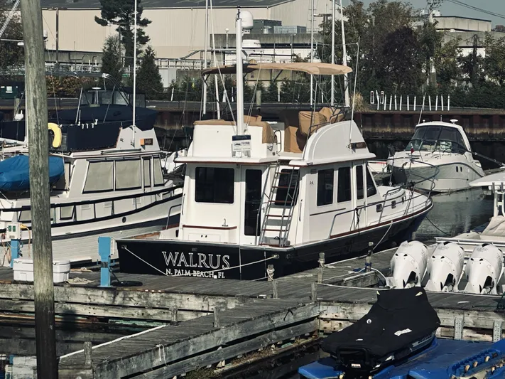 Walrus Yacht Photos Pics 