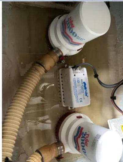 Fiddle Deedee Yacht Photos Pics 2011 Sea Ray Sundancer bilge pump system with Rule 2000 pumps and hoses.