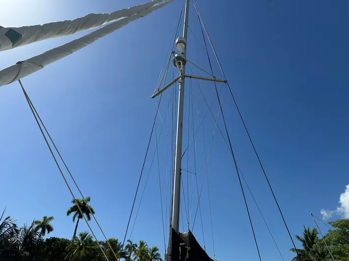  Yacht Photos Pics Mast of 2020 Lagoon 40 sailboat against clear blue sky and palm trees.