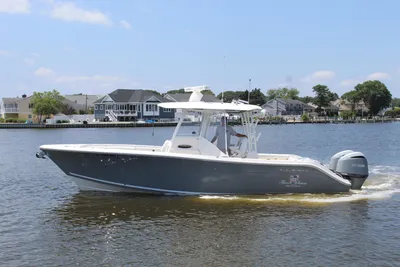 Cobia 301