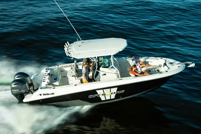 Wellcraft 262 Fisherman