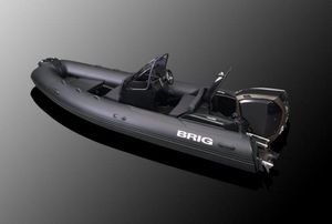 2022 Brig Eagle 5