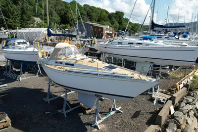 1979 SHE 33