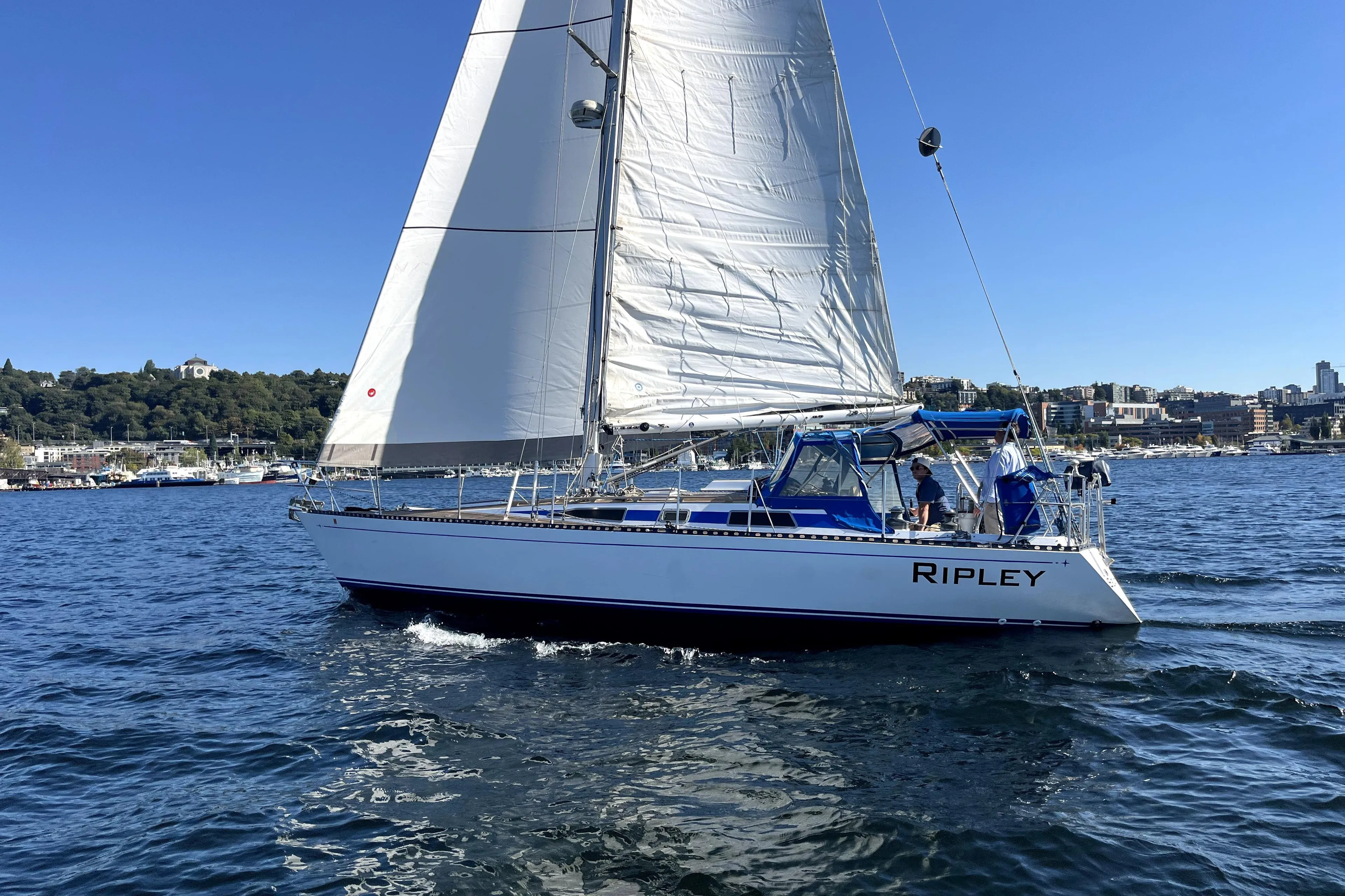 Sailboat "Ripley" on water, CT 38 Warwick 1983, clear sky, urban shoreline background.