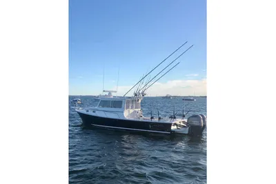 Steiger Craft 31 Miami