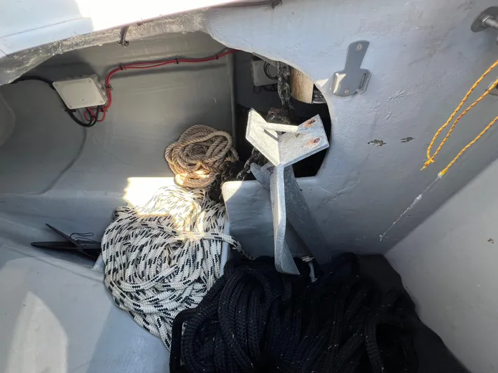 Rogue Yacht Photos Pics 