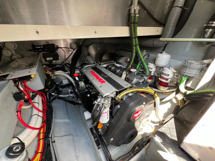 Rogue Yacht Photos Pics 