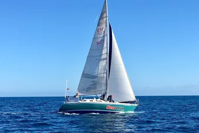 1991 Fortuna fortuna 9