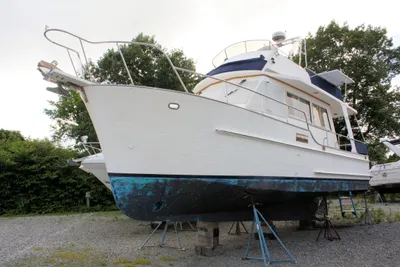 Island Gypsy 32