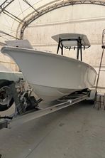 Silverhawk 24
