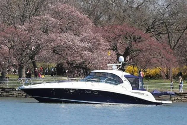  Yacht Photos Pics 2004 Sea Ray 420 Sundancer yacht cruising near blooming cherry blossom trees.