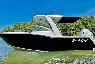Custom 21 Suzuki Craft