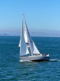C&C 36