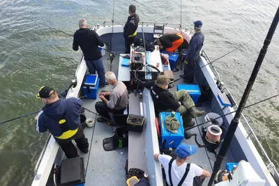 1999 Vissersboot Sygnus Catfish