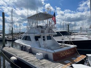 Jupiter 35 Convertible