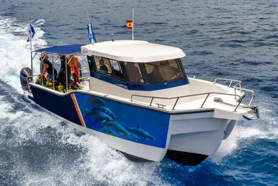 2025 Olbap Trimaran TR12
