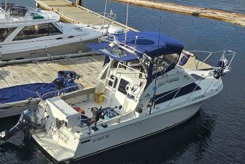 1997 Skipjack 262 Flybridge boat docked at marina with blue canopy.