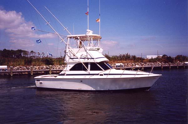 bertram 800 sport fishing yacht