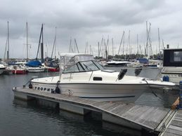 1996 Bayliner Trophy 2352 Wa