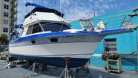 1987 Cruisers 298 Villa Vee