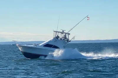 Luhrs 36 Convertible