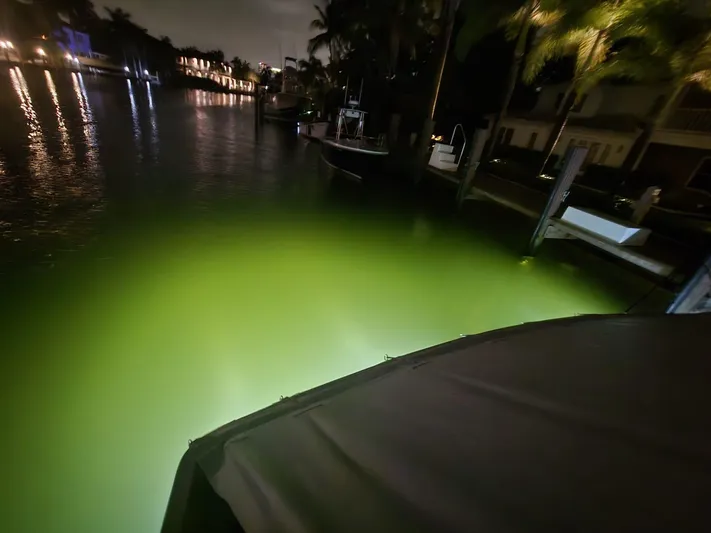 Triple Net II Yacht Photos Pics 