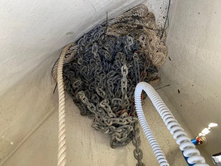 Newport Beach Boat Show Special Yacht Photos Pics 