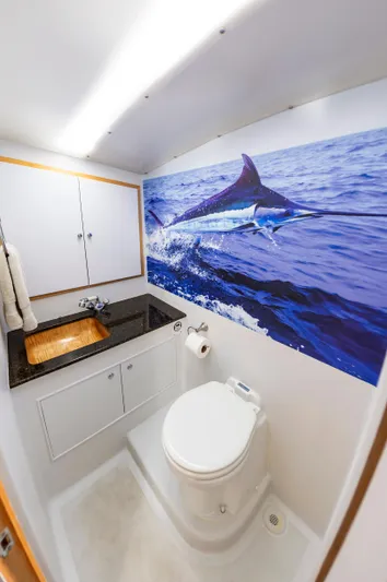 Rebellious Yacht Photos Pics 