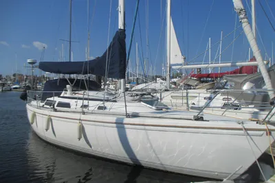 Catalina 36