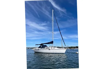 Catalina 320