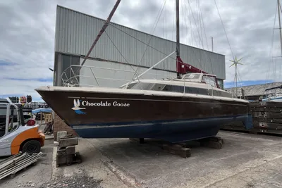 1983 Prout Snowgoose